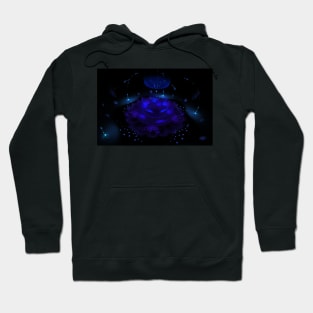 Fluorescence Hoodie